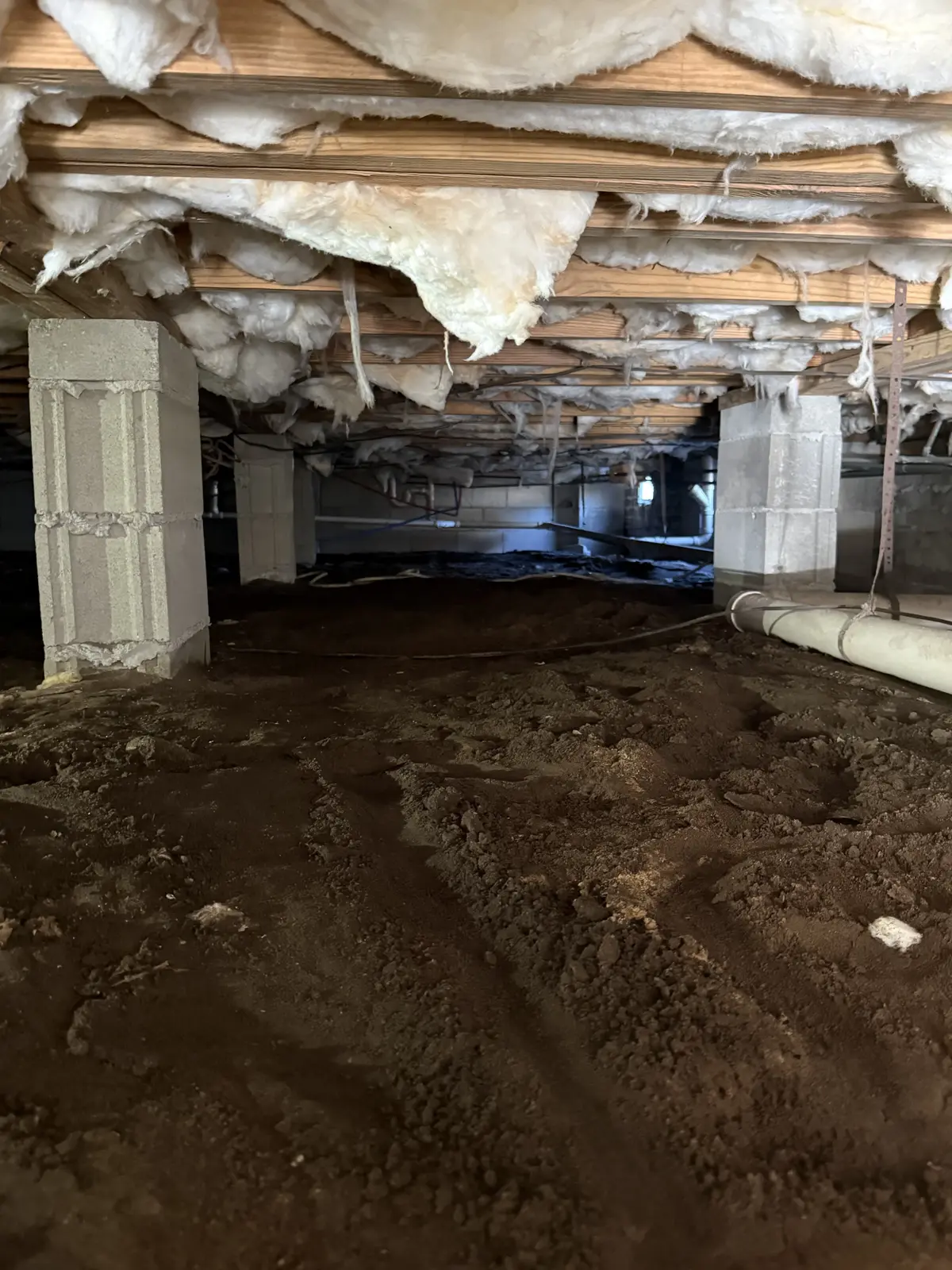 Before: exposed damp crawlspace soil with fallen insulation in Charleston SC home